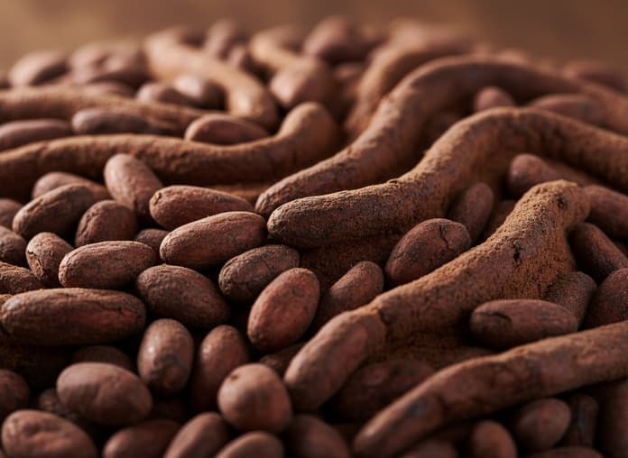 Cocoa beans ready for export in warehouse